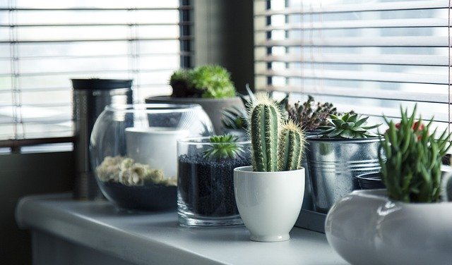 函轉國立清華大學舉辦「雙閱讀素養教學系列研習」